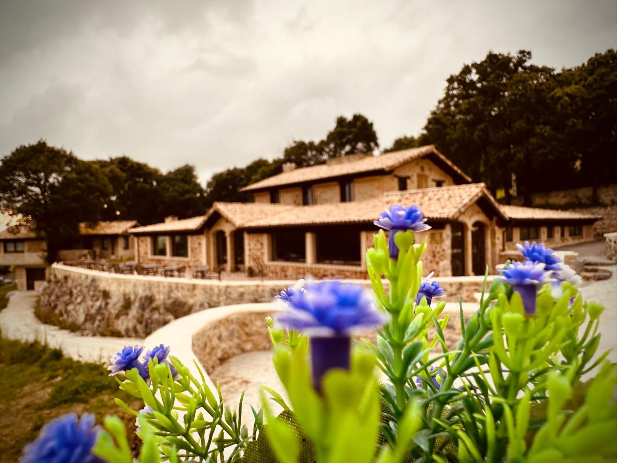 La Quinta Luxury Palace Country house