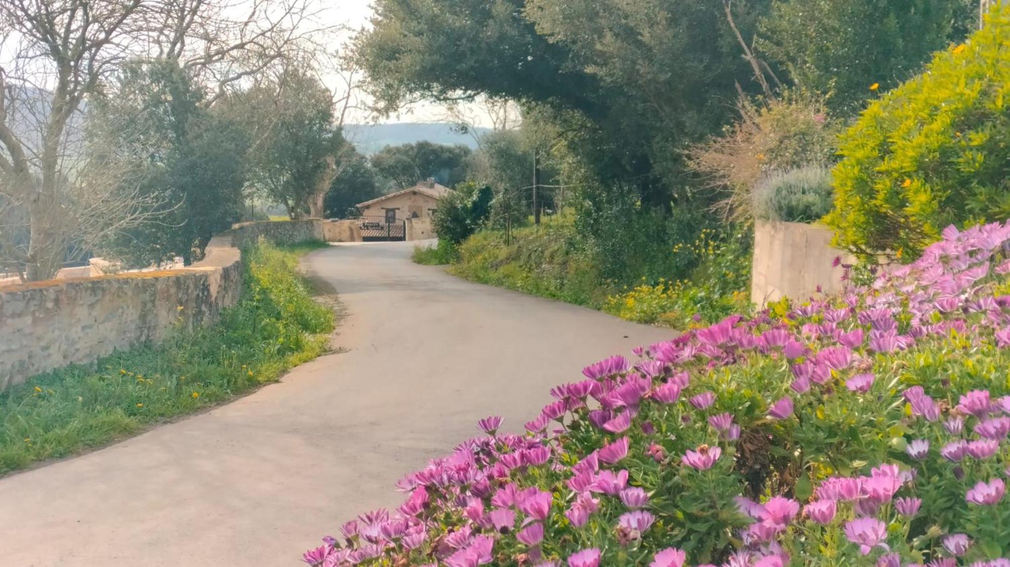 La Quinta Luxury Palace Country house *